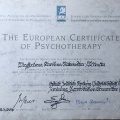 Powiększ obraz: certificate 2