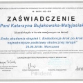 Powiększ obraz: certificate 1
