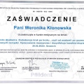 Powiększ obraz: certificate 4