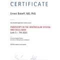 Powiększ obraz: certificate 6