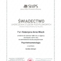 Powiększ obraz: certificate 1
