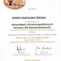 Powiększ obraz: certificate 31