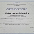 Powiększ obraz: certificate 46