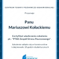 Powiększ obraz: certificate 1