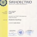 Powiększ obraz: certificate 4