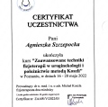 Powiększ obraz: certificate 2