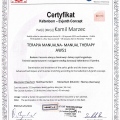 Powiększ obraz: certificate 8