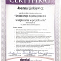 Powiększ obraz: certificate 1