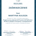 Powiększ obraz: certificate 9