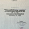 Powiększ obraz: certificate 22