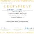 Powiększ obraz: certificate 8