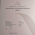 Powiększ obraz: certificate 4