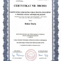 Powiększ obraz: certificate 23