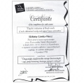 Powiększ obraz: certificate 11