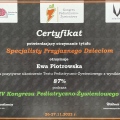 Powiększ obraz: certificate 3