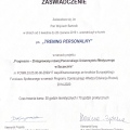 Powiększ obraz: certificate 3