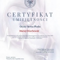 Powiększ obraz: certificate 6