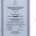Powiększ obraz: certificate 2