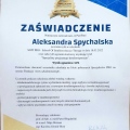 Powiększ obraz: certificate 6
