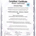 Powiększ obraz: certificate 3
