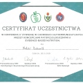 Powiększ obraz: certificate 7