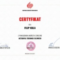 Powiększ obraz: certificate 9