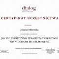 Powiększ obraz: certificate 6