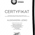 Powiększ obraz: certificate 12