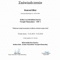 Powiększ obraz: certificate 16