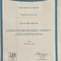 Powiększ obraz: certificate 5