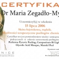 Powiększ obraz: certificate 10