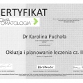 Powiększ obraz: certificate 5