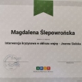 Powiększ obraz: certificate 1