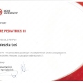 Powiększ obraz: certificate 8
