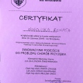 Powiększ obraz: certificate 10