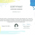 Powiększ obraz: certificate 10