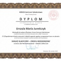 Powiększ obraz: certificate 8