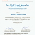 Powiększ obraz: certificate 1