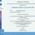 Powiększ obraz: certificate 2
