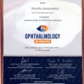 Powiększ obraz: certificate 3
