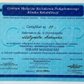 Powiększ obraz: certificate 8