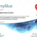 Powiększ obraz: certificate 11