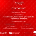 Powiększ obraz: certificate 14