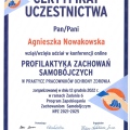Powiększ obraz: certificate 8