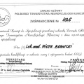 Powiększ obraz: certificate 2