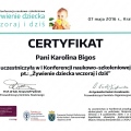 Powiększ obraz: certificate 1
