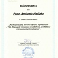 Powiększ obraz: certificate 15