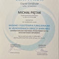 Powiększ obraz: certificate 5