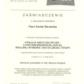 Powiększ obraz: certificate 41