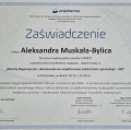 Powiększ obraz: certificate 42